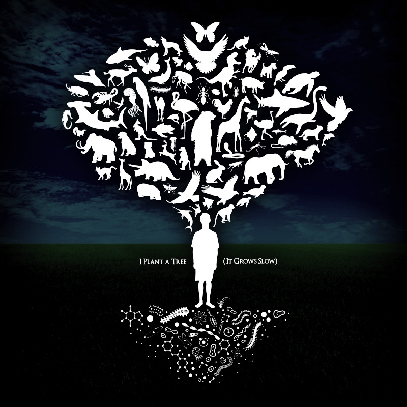 I plant a tree it grows slow song art